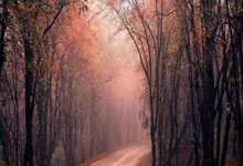 世界杯外围App官方合规版 -漫评日本右倾化加速：“前方深渊”