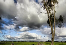 2026世界杯十大高水位外围平台榜单 -泰兴兴威取得触摸屏加工用点胶设备专利，有效提高较窄待点胶边线的点胶质量