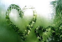 世界杯外围App大额无忧提现版 -辰安科技取得人群密度检测专利